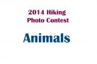 2014_Contest_Animals.jpg