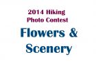 2014_Contest_Scenery.jpg