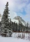 180125_SS_Burstall_Pass_MC_View_of_Commonwealth_Peak_from_Lunch.jpg