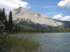 IMG_2026-08_6454.jpg